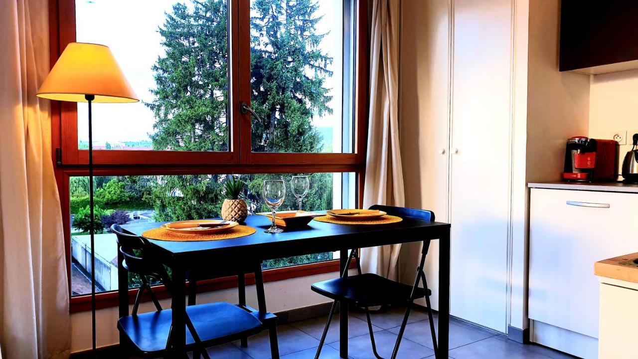 Le Bellevue A 10Min Du Centre A Pied Apartment Annecy Exterior foto